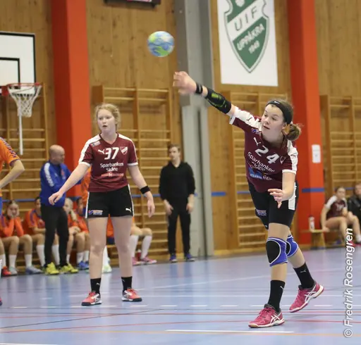 foto: Figge