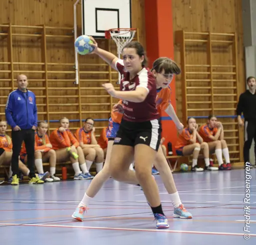 foto: Figge