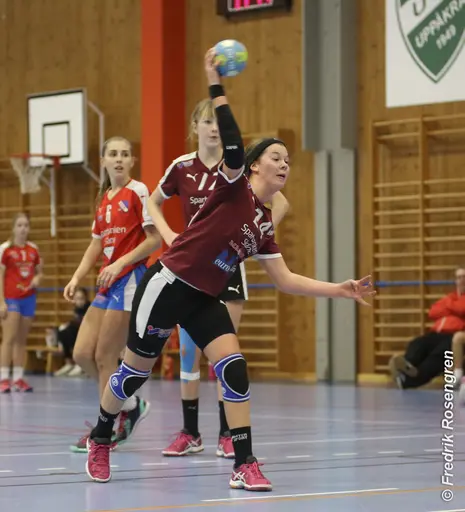 foto: Figge
