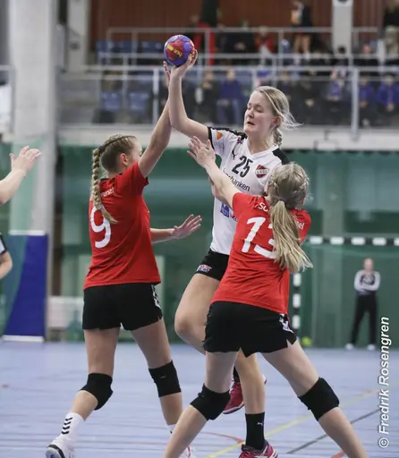 foto: Figge