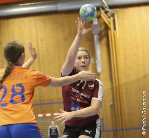 foto: Figge