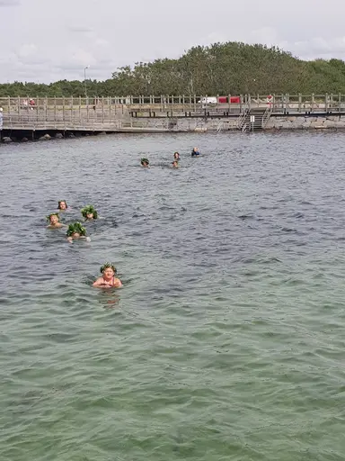 En liten samling av bilder och teckningar från Ljunghusenssimskola 2021