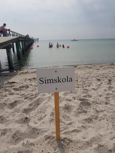 En liten samling av bilder och teckningar från Ljunghusenssimskola 2021