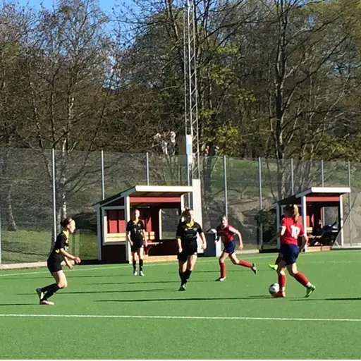 Reymers F04 har spelat 7-mot-7-serie under säsongen tillsammans med fem andra breddlag i Stockholm.