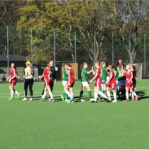 Reymers F04 har spelat 7-mot-7-serie under säsongen tillsammans med fem andra breddlag i Stockholm.