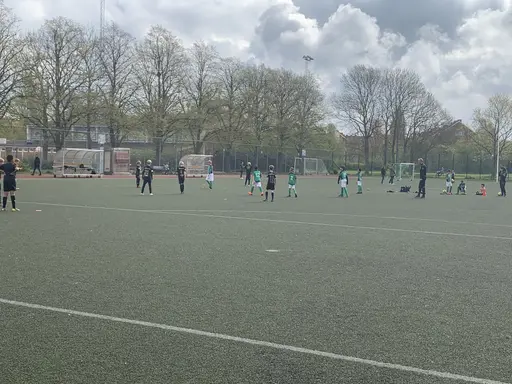 Våra stjärnor 🌟