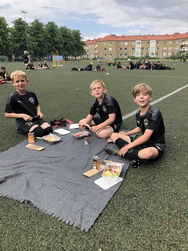 ”En bild säger mer än tusen ord”