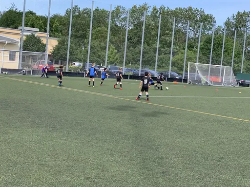Våra stjärnor