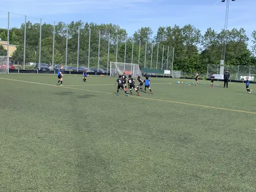 Våra stjärnor