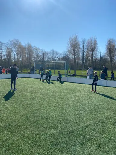 P2015 