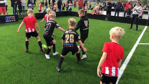 Höllviken cup Miniserie 