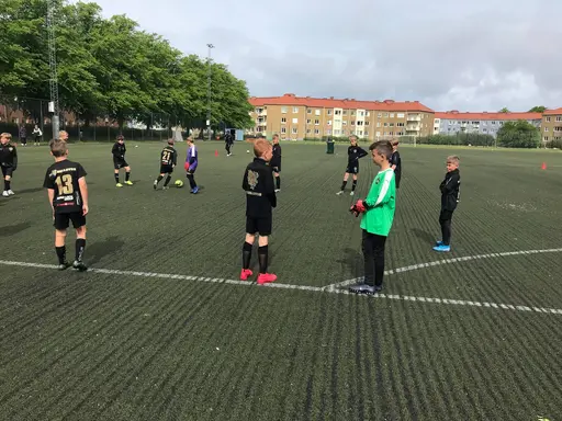 The Champions