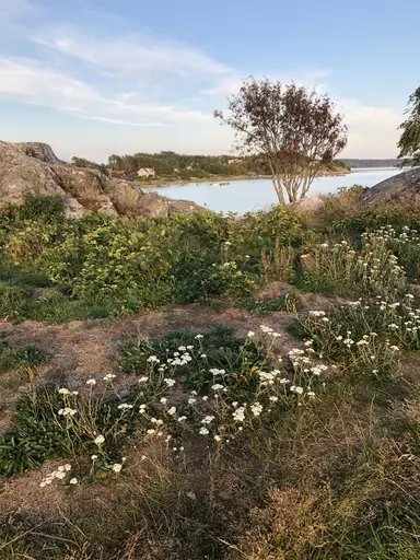 Förlust i 1/8 final mot slutvinnaren Brommapojkarna P05