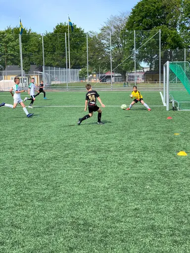 Våra stjärnor