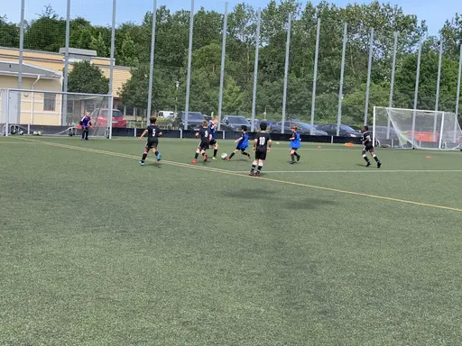 Våra stjärnor