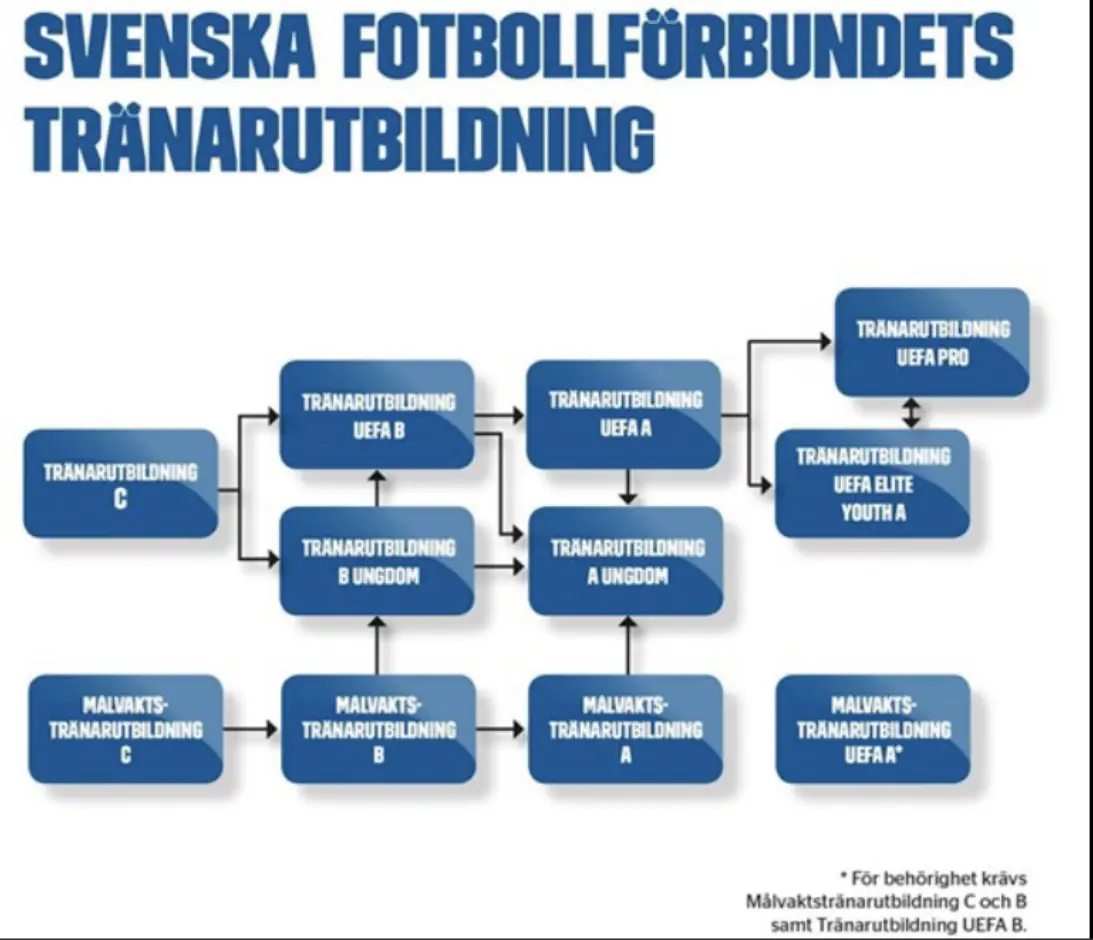 Svenska Fotbollsförbundets utbildningsstege