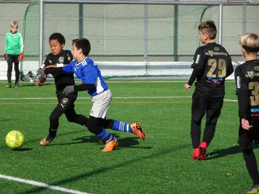 Bellevue P08 imponerade stort P07 A-serien