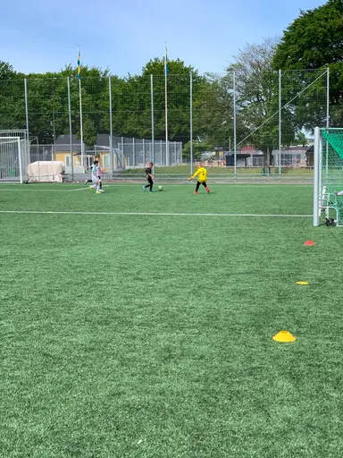 Våra stjärnor
