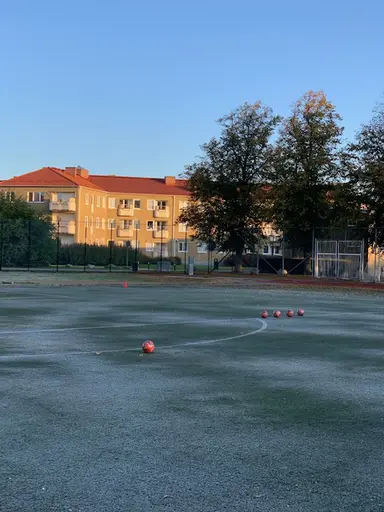 Fc Bellevues talanger 2010