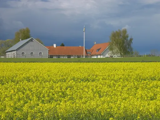 Sune Abrahamsson vid sina odlingar