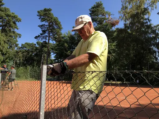 Skönt gäng in action 