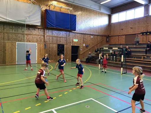 Åhus Handboll Flickor 11-12