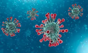 Coronavirus COVID - 19