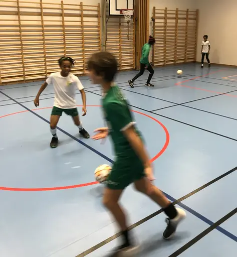 Eriksdalsskolans idrottshall