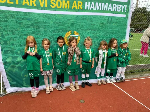Rötterna, Ambitionen, Gemenskapen, Respekten, Kärleken - Tillsammans är vi Hammarby!