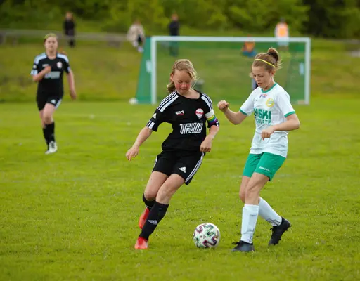 Lite upppiggande bilder från Roslagsbros hemsida