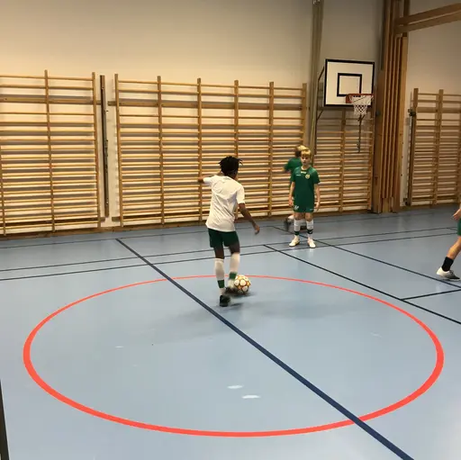 Eriksdalsskolans idrottshall