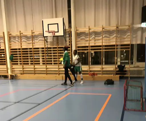 Eriksdalsskolans idrottshall