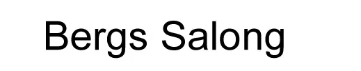 Bergs Salong