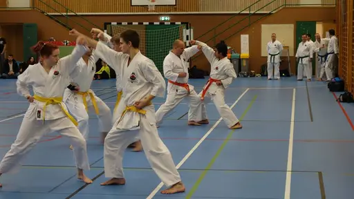 Våra medlemmar i action 
