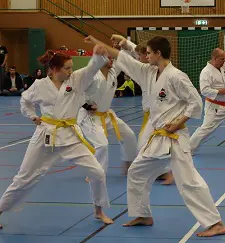 Våra medlemmar i action 