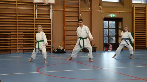Våra medlemmar i action 
