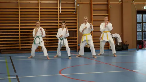 Våra medlemmar i action 