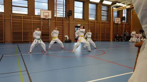 Våra medlemmar i action 