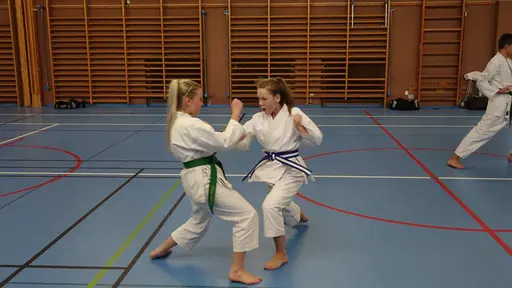 Våra medlemmar i action 