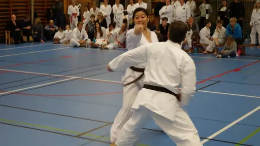 Våra medlemmar i action 