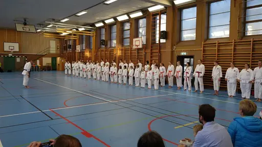 Våra medlemmar i action 