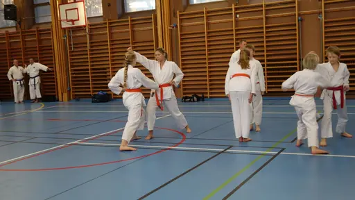 Våra medlemmar i action 
